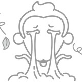 随风淡然