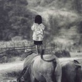 单曲循环