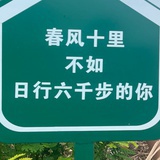 春风十里
