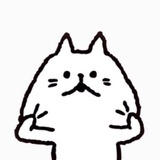 一只大猫
