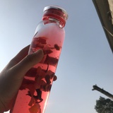小豆芽