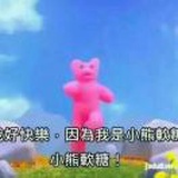 小熊软糖