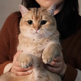 mhw