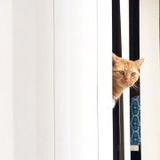 JIA_YI__