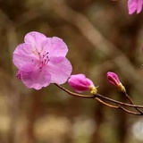 小蜗牛