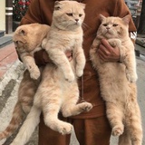 我叫阁阁