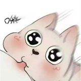 年糕不会写论文