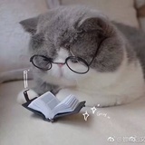 司小南的零食箱