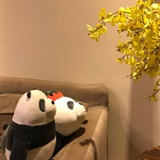 BB鱼