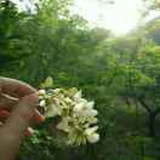 笑笑小棉花