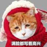 2020安静的安