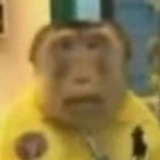 Dfggg
