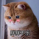 你的小可爱