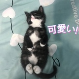 马木木