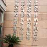 归雁