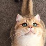 亚楠最菜猎人
