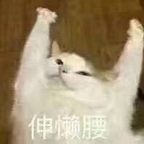 jhggtgvf