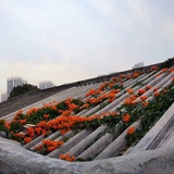 容易掉坑的lam