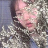 在风中摇曳