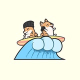 不正经的观众乙