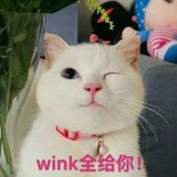 荔枝荔枝