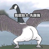 蒜皮