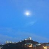 燕子