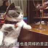 嘉哥