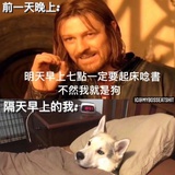 浪呀么浪打浪