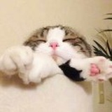 子越
