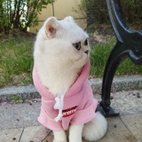 花瓣蝶碟