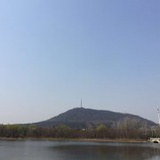 又高又冷的小太