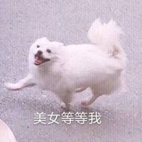彩旗飘飘