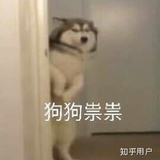 狗狗祟祟