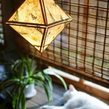 漂漂