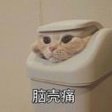 深夜emo机器