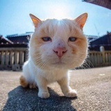 蚯蚓