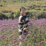 美丽小艳30