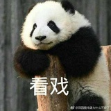 萌猴子姓张