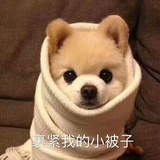 皮卡丘丘