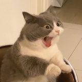 暴躁小王