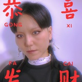 胡同口的猫