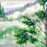 浅若夏沫