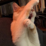 琼锅糖糖