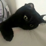 susu