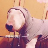 永泽小白