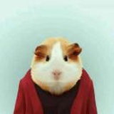 圣贤