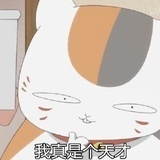 忆辰安