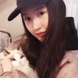 养海豹的猫