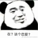 王猫猫
